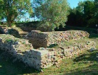 Molinaro con studenti campo scuola archeologico ad Aquileia