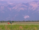 fotogramma del video A Udine tavolo verde per l'agricoltura