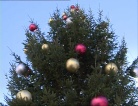 Sintesi della cerimonia di consegna di un albero di Natale donato dal Land Carinzia alla città di Udine. 