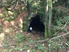 Ambiente: Scoccimarro, speleologi utili per conservazione grotte
