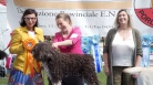fotogramma del video Eventi: Amirante, a Piancavallo 2.a esposizione ...